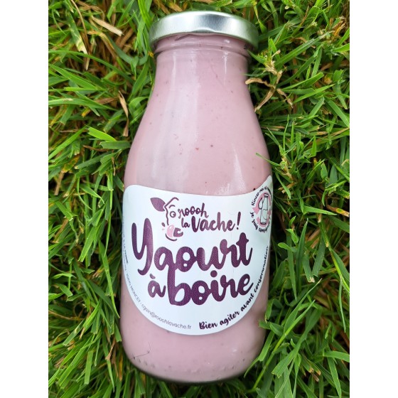 Yaourt à boire BIO Cassis 250g
